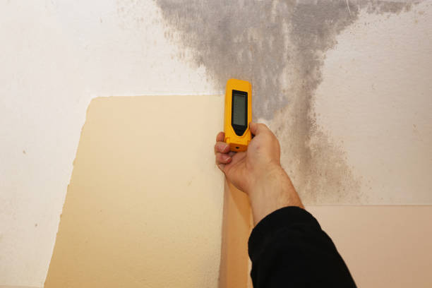 Best Forensic Mold Investigation  in Dallas, GA