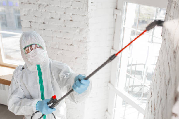 Best Post-Construction Mold Inspection  in Dallas, GA
