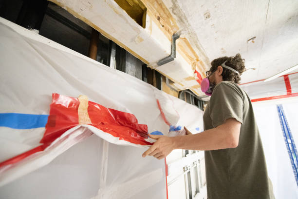 Best Black Mold Removal  in Dallas, GA