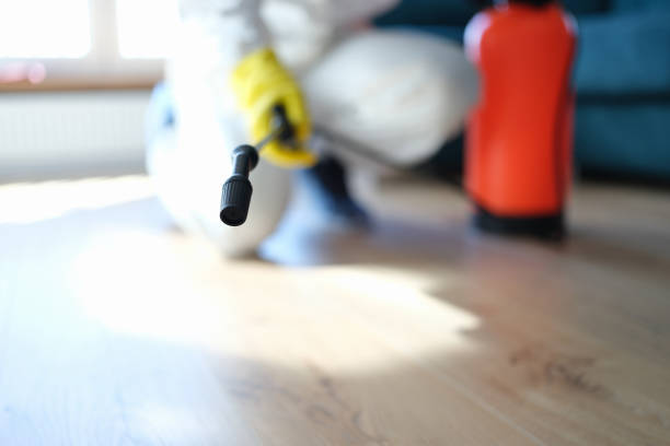 Best Air Quality Testing for Mold Spores  in Dallas, GA