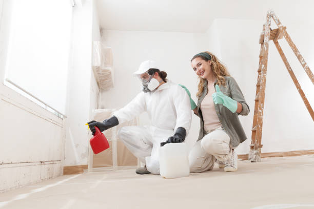 Best Mold Prevention Services  in Dallas, GA
