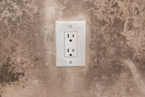 Best Asbestos and Lead Testing During Mold Inspection  in Dallas, GA