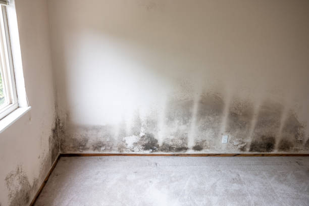 Best Indoor Air Quality Assessment  in Dallas, GA